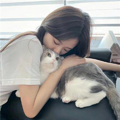 少女前线 人形小剧场